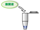 4.展開液の添加